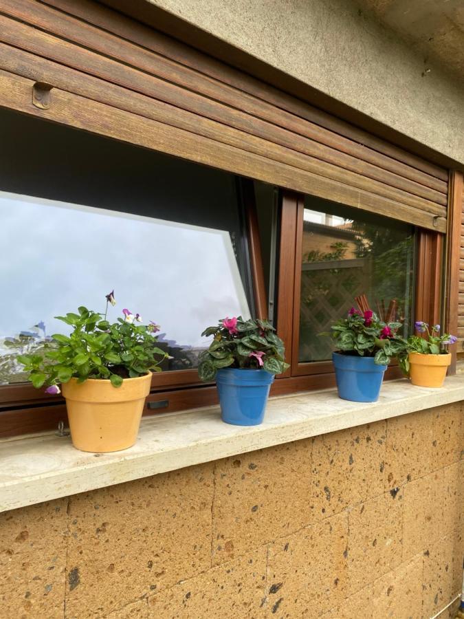 דירות אורביאטו Il Giardinetto Di Elelu' Private Garage מראה חיצוני תמונה